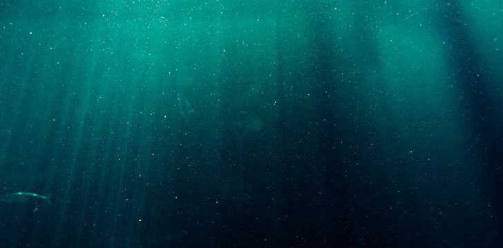 We know more about Mars than our Oceans